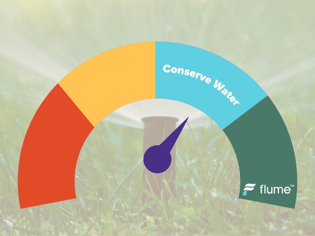 5 Ways to Conserve Water While Keeping Your Landscape Green and Lush