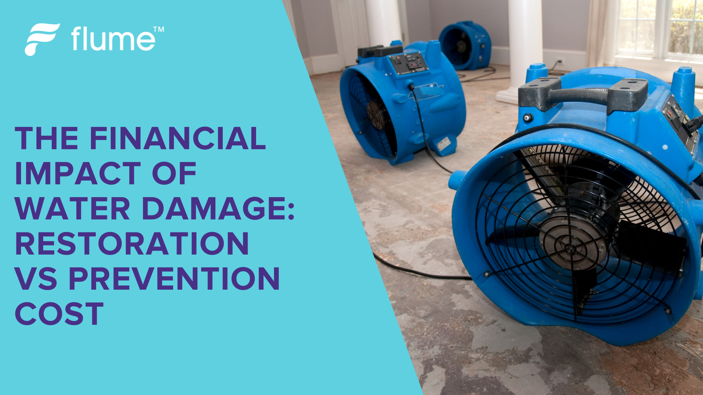 Water Damage Costs: Restoration vs. Prevention | Flume